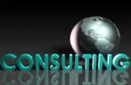 What are Professional Consulting Services?