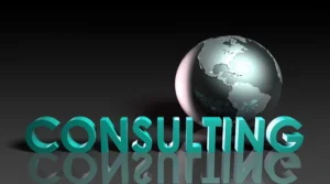 Professional Consulting Services