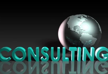 Professional Consulting Services