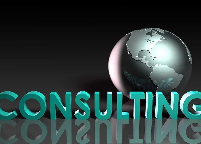 Professional Consulting Services