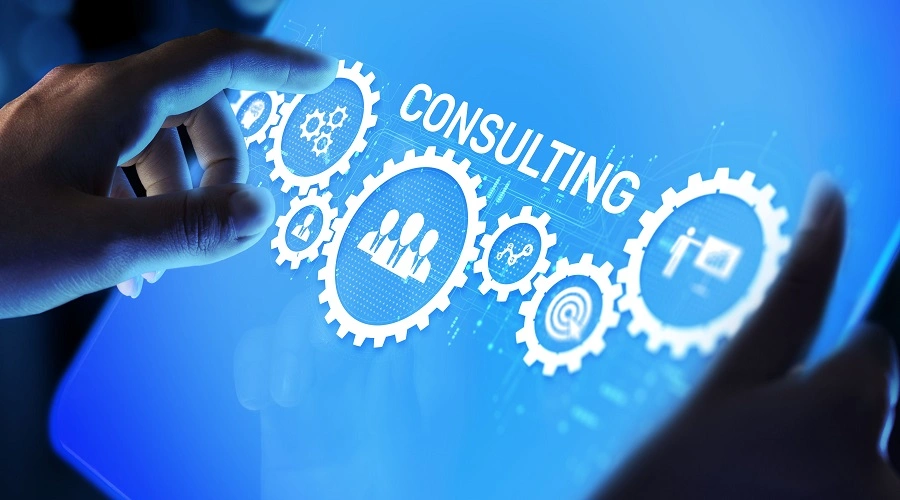 How a Management Consulting Firm Helps Businesses Grow